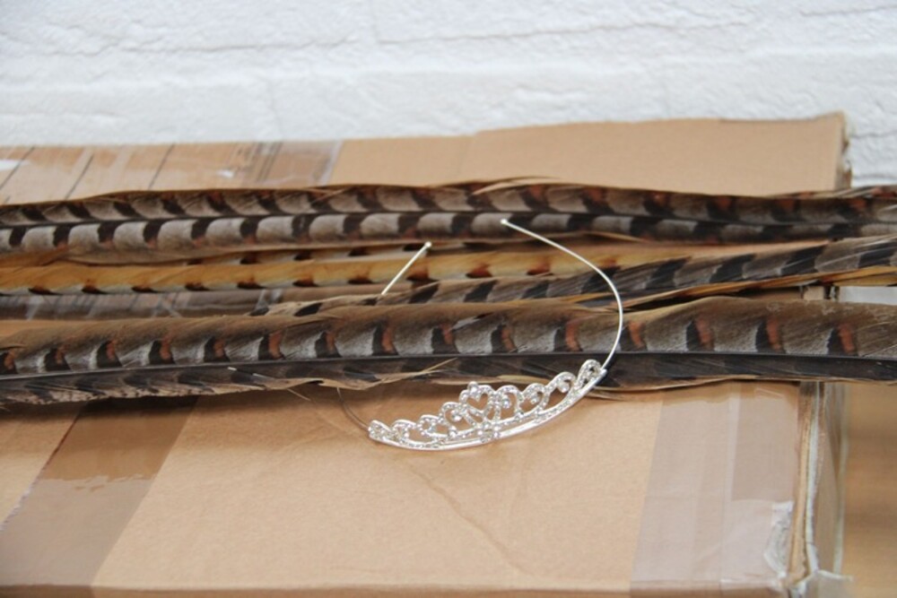 2025-11-09 Jeugdprinsenbal