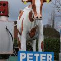 2016-07-02 Optocht - 153